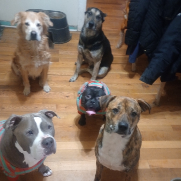 Meet your Posher, Tamara - Picture 2 of 4